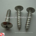 ss304 self tapping screw